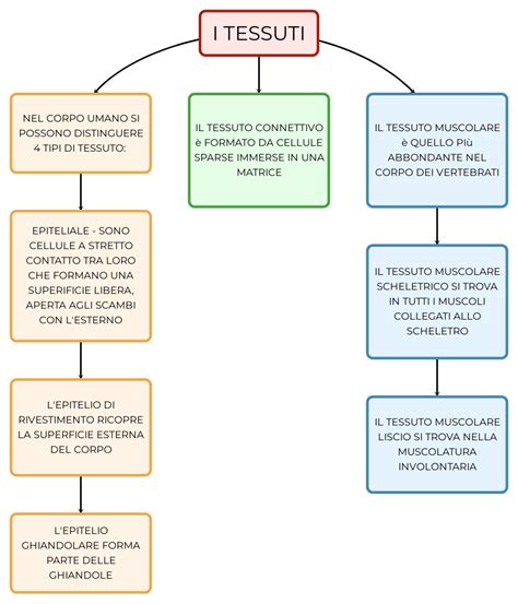 schema grafico di una linea di produzione di tessuti non tessuti per l'igiene
