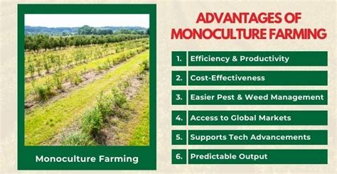 Monoculture vs. Rotazione Colturales