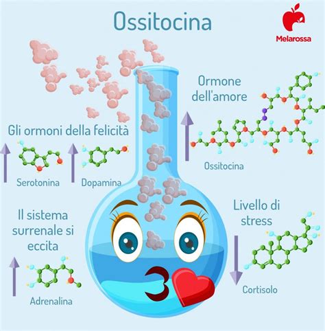 Infografica che illustra il rilascio di ossitocina e prolattina durante l'allattamento
