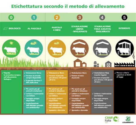 Metodo di allevamento Panaque S.r.l. per la protezione degli avannotti