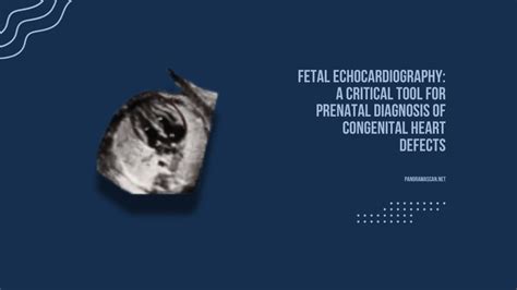 Fetal echocardiography