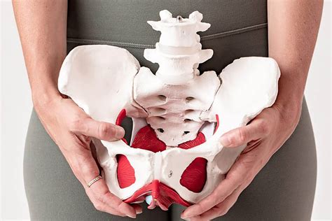 Pelvic floor physiotherapy