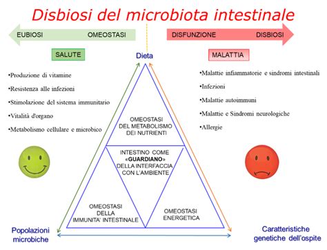 Microbiota vaginale sano vs disbiosi