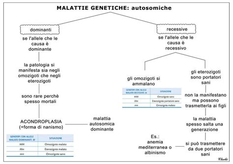 Infografica sulle malattie genetiche nei gatti