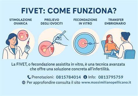 Opzioni riproduttive dopo FIVET