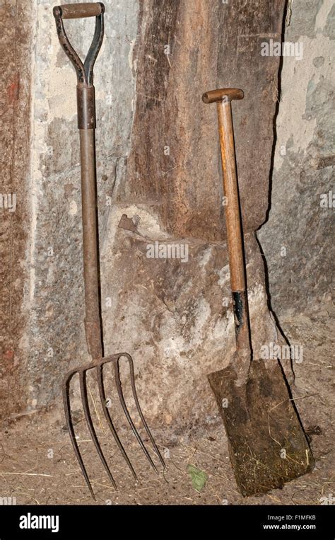 Interno di una casa tradizionale alpina con attrezzi antichi