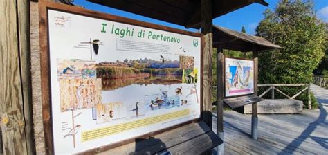 Laghi salmastri di Portonovo con vegetazione riparia