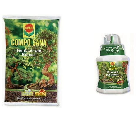 Bonsai ben irrigato e concimato