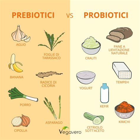 Illustrazione di probiotici e prebiotici in sinergia