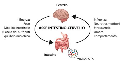 Schema dell'asse microbiota-intestino-cervello