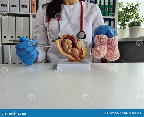 Modello ostetrico in cera con rappresentazione del feto