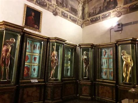 La Venerina di Clemente Susini al Museo di Palazzo Poggi, Bologna