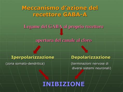 Schema del meccanismo d'azione del GABA