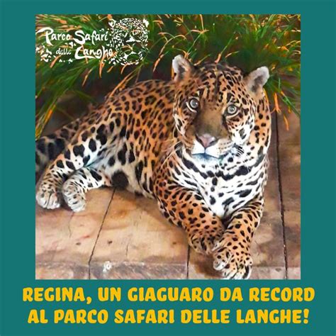 Bambini al Parco Safari delle Langhe