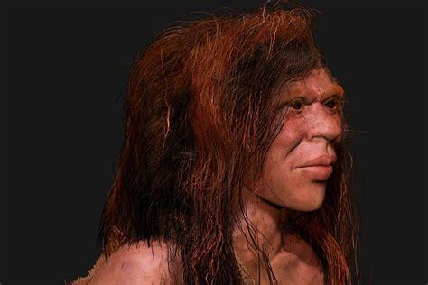 Distribuzione geografica del DNA Neanderthal e Denisova
