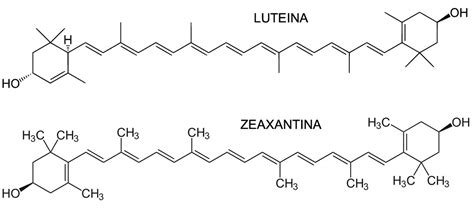 Alimenti ricchi di luteina