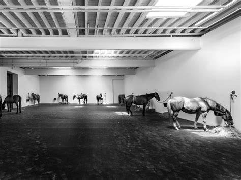 Opera di Jannis Kounellis con cavalli
