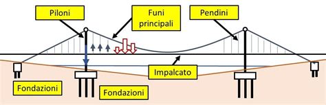 Diagramma che illustra le differenze strutturali tra coppola piatta e coppola a spicchi