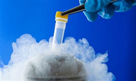 rappresentazione stilizzata di un criocontenitore per azoto liquido in un laboratorio di fertilità