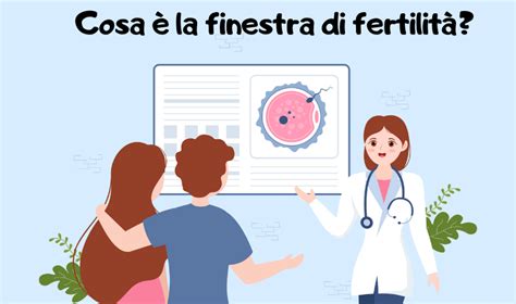 Infografica che illustra la finestra fertile e la probabilità di concepimento