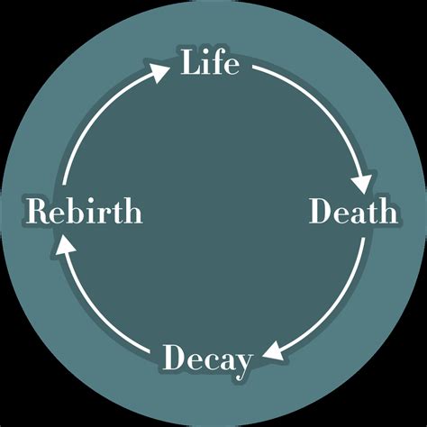 The cycle of life, death, and rebirth