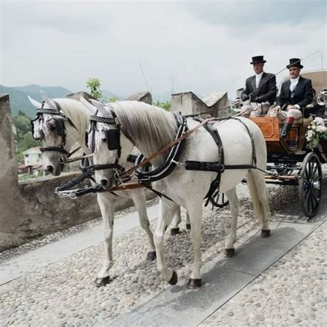 Carrozze storiche italiane