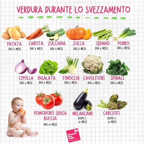 illustrazione grafica di una tavola imbandita con cibi adatti ai bambini durante lo svezzamento