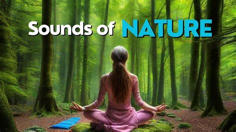 Infografica: Benefici dei rumori bianchi e dei suoni della natura per i neonati