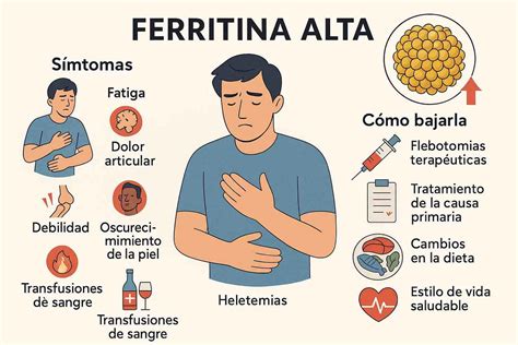 Infografica sui sintomi comuni della ferritina alta