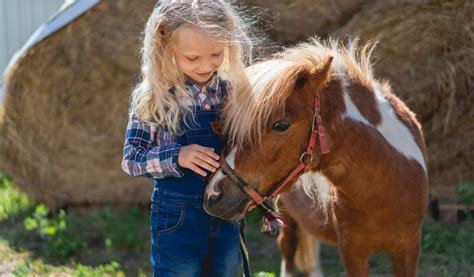 Bambini che accarezzano pony al Ranch di Merano 2000
