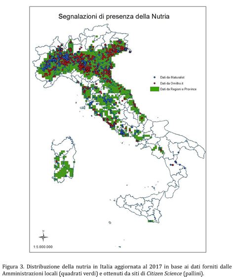 Mappa di distribuzione della gramigna in Italia e habitat preferenziali
