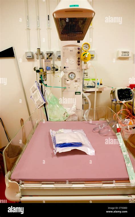 Rianimazione capretto neonato