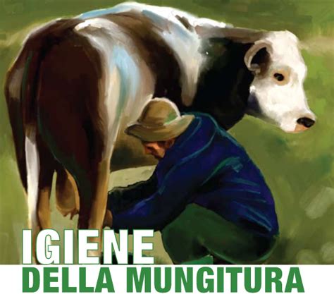 Igiene della mungitura della capra
