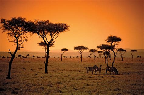 paesaggio savana africana area Ngorongoro