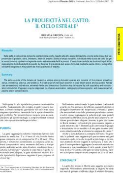 rappresentazione del ciclo estrale del gatto