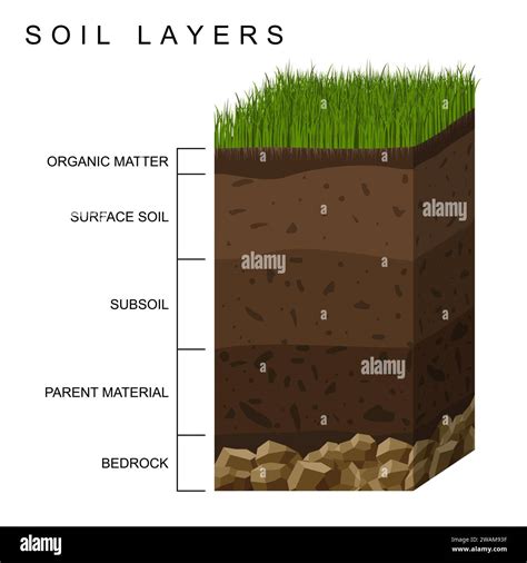 Diagramma schematico degli strati del pannolino che mostrano l'assorbimento rapido