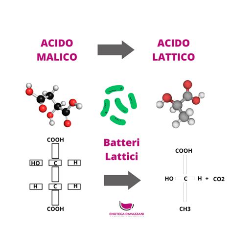 Infografica sulle diverse applicazioni dell'acido lattico
