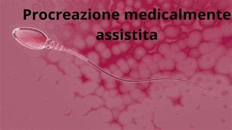 mappa concettuale sulla regolamentazione della procreazione assistita