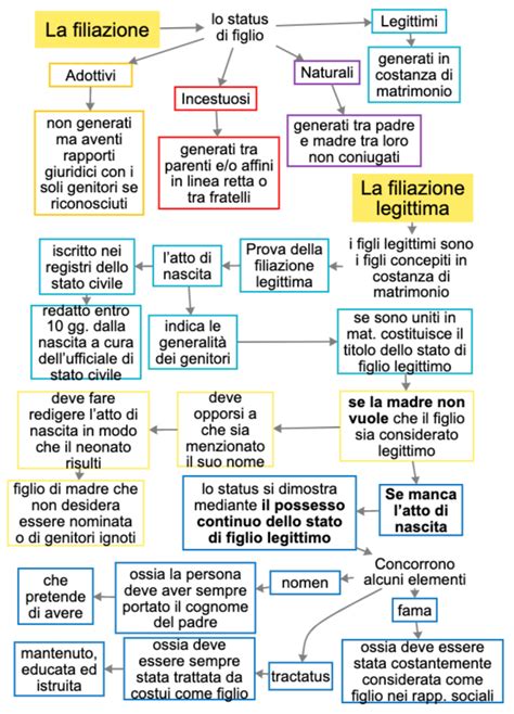 grafico che illustra le diverse procedure per la filiazione e le opzioni di interruzione di gravidanza