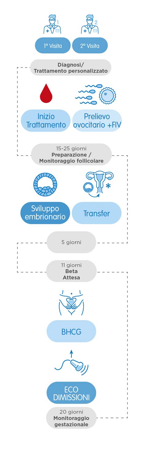 Schema di un trattamento di fecondazione in vitro