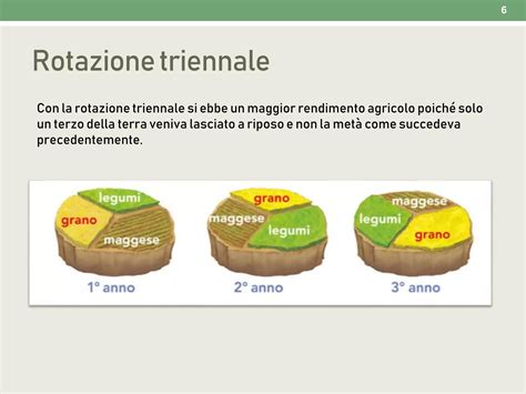 L'asino nel contesto agricolo tradizionale