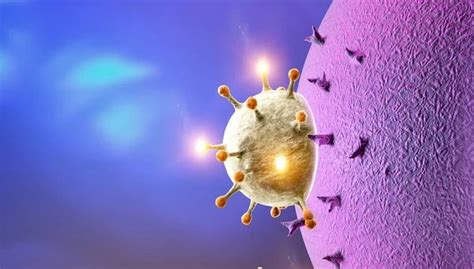 rappresentazione del virus influenzale che attacca le vie respiratorie