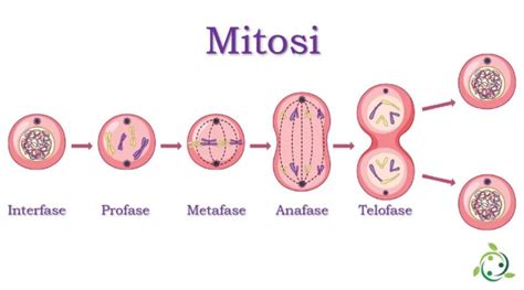 Illustrazione grafica che mostra le varie fasi del travestimento da supereroe