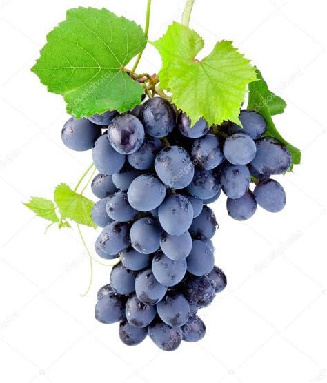 Grappolo d'uva bianca su fondo chiaro