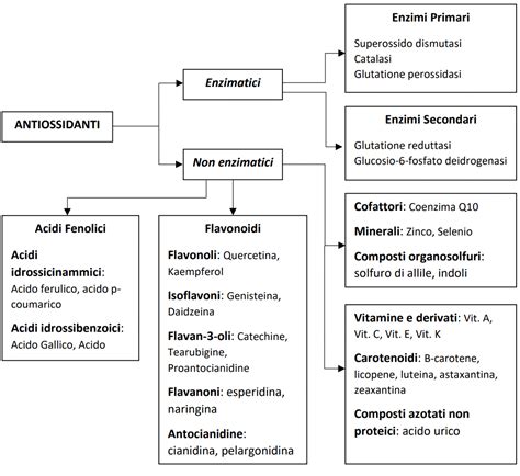 Schema che mostra i benefici degli antiossidanti