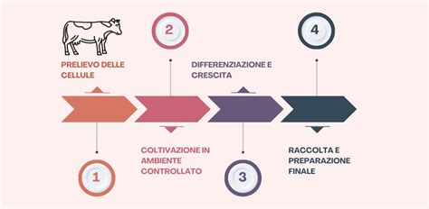 infografica che mostra il processo di calcolo della data di nascita