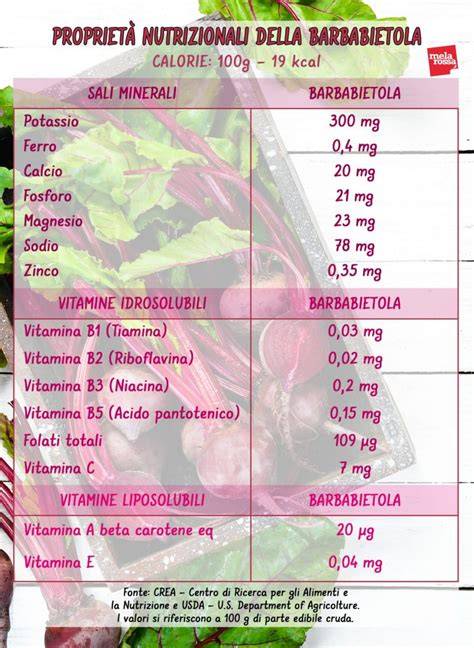 Grafico a torta che mostra la composizione nutrizionale della barbabietola rossa (acqua, carboidrati, vitamine, minerali)