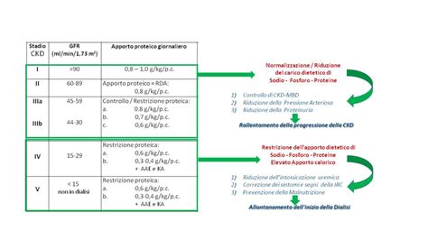 schema del monitoraggio del protocollo terapeutico con Metotrexate