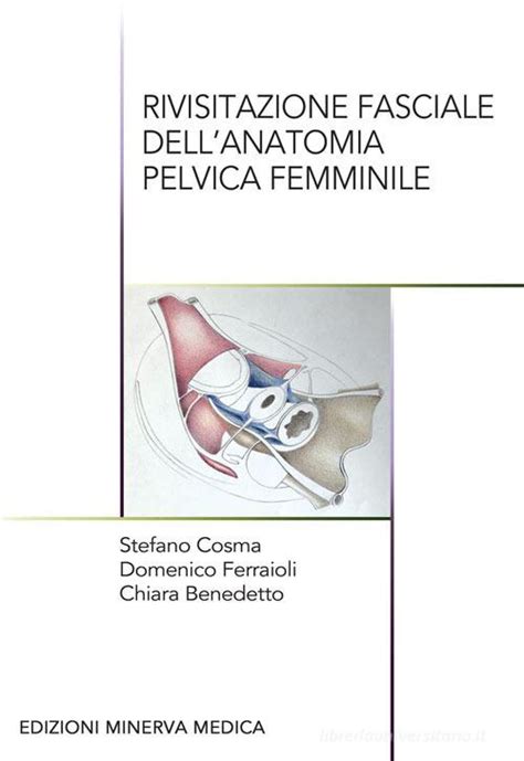 rappresentazione schematica dell'anatomia pelvica femminile