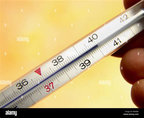 Termometro che indica 37 gradi Celsius